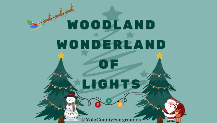 Woodland Wonderland Of Lights