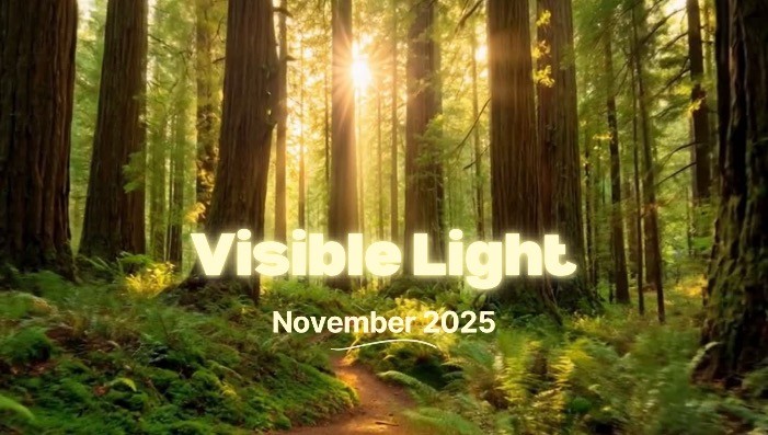Visible Light