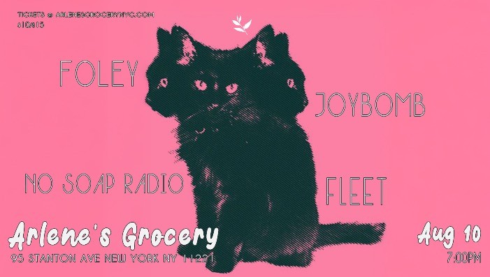 Foley, No Soap Radio, Joybomb, & FLEET