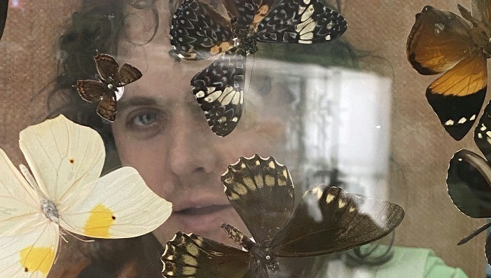 Hop, Tracey Nelson, Butterfly Music, Kyra Baskin + Matilde Heckler