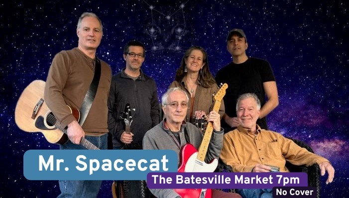 Mr. Spacecat
