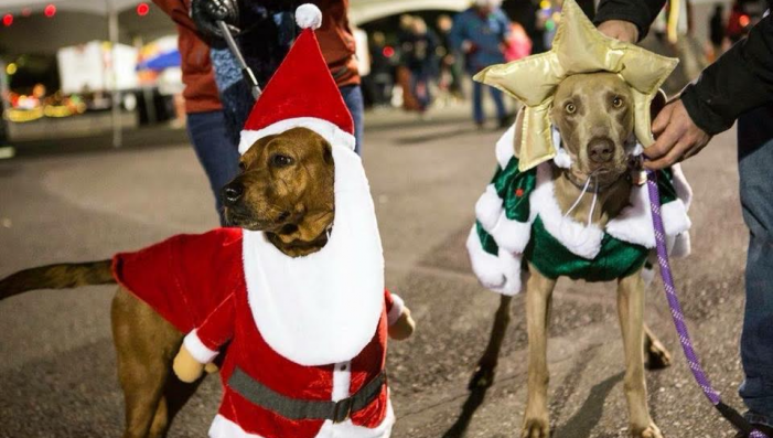 Winter Wonderland December 1st - Lights & Leashes Dog Walk Night