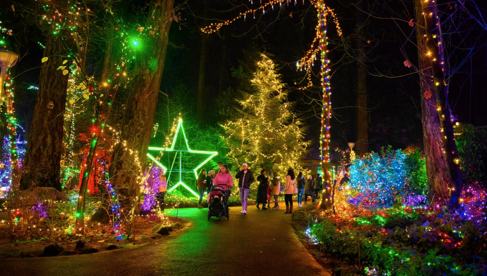 Christmas Festival of Lights