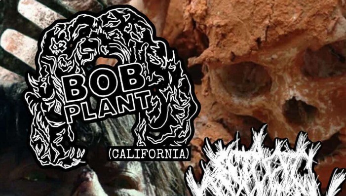 Bob Plant, Ectopic Pregnancy, Quitter