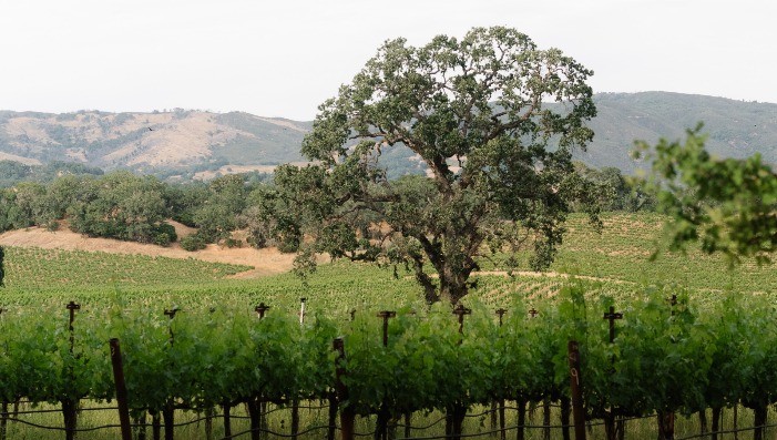 IN A LANDSCAPE:  Campovida