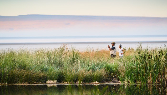 IN A LANDSCAPE:  PLAYA at Summer Lake