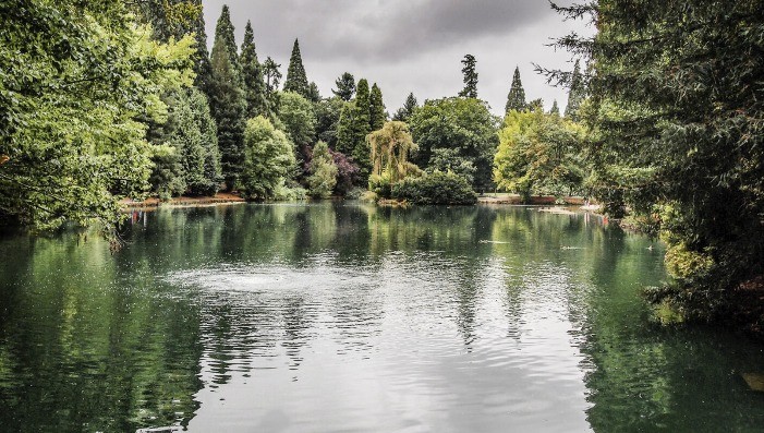 IN A LANDSCAPE:  Laurelhurst Park