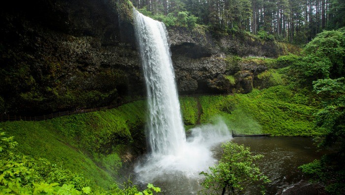 IN A LANDSCAPE:  Silver Falls State Park