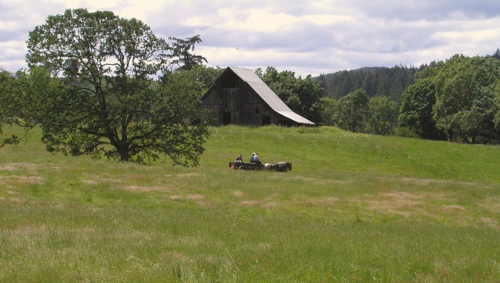 IN A LANDSCAPE:  Mildred Kanipe Memorial Park