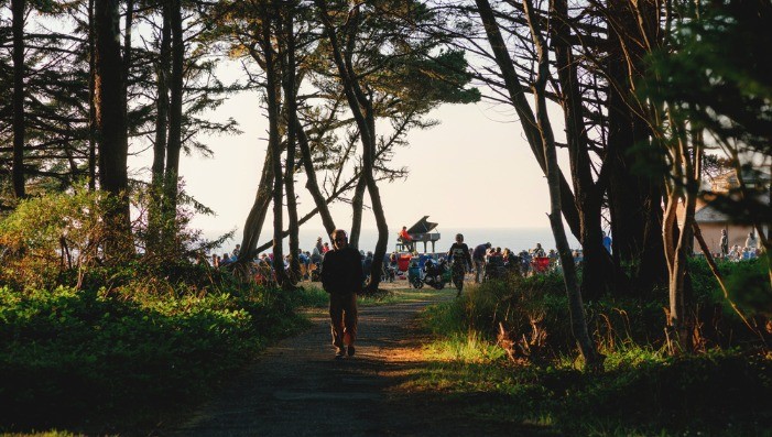IN A LANDSCAPE:  Shore Acres State Park