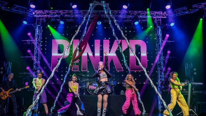 P!NK'D  (A live PINK show experience!)