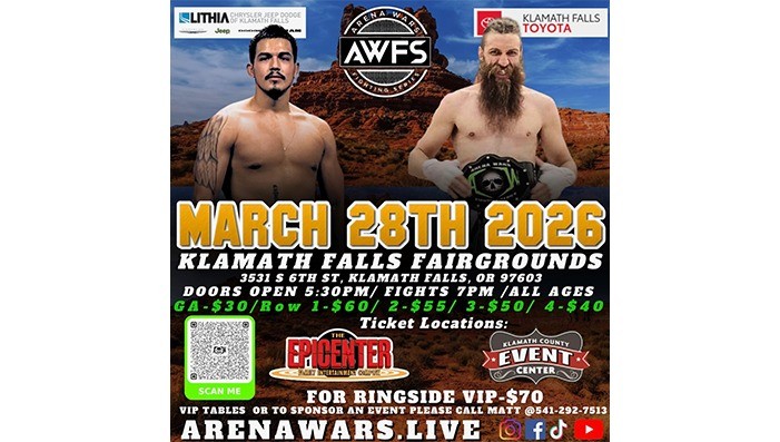 Arena Wars Fighting Series