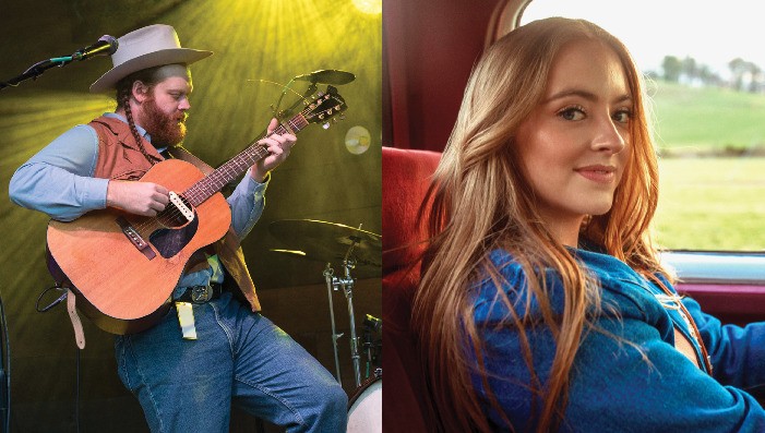 SJ McDonald | The Wilson Springs Hotel