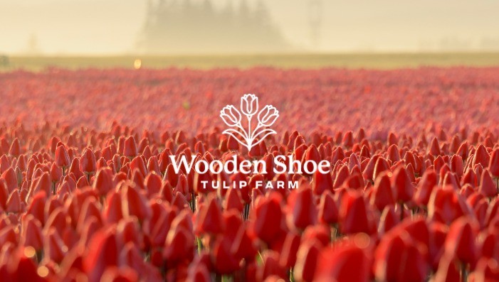Tulip Festival 2026