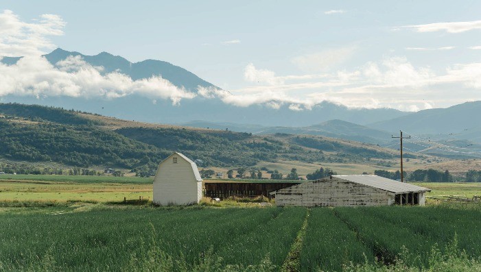 IN A LANDSCAPE:  Huntsville Monastery