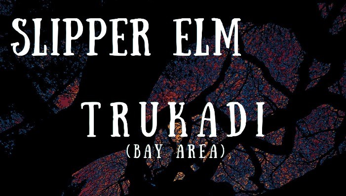 Slipper Elm • Trukadi • Naomi March