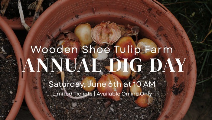 Wooden Shoe Tulip Farm - Dig Day