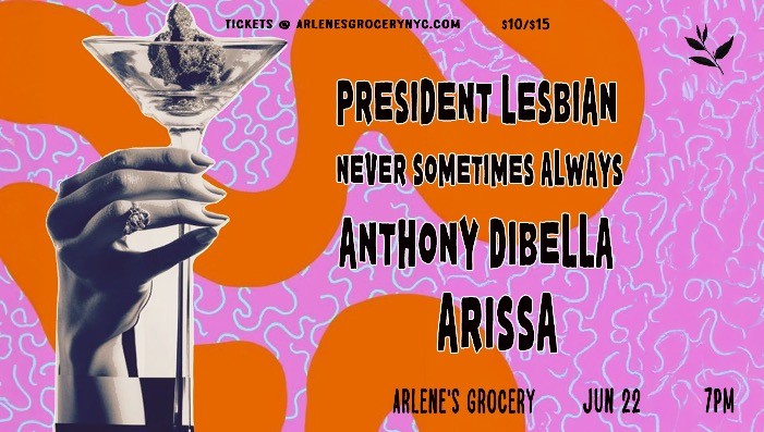 President Lesbian / Never Sometimes Always / Anthony DiBella / Arissa