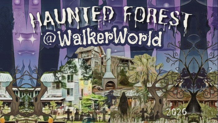 HAUNTED FOREST