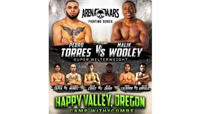 Arena Wars Fighting Series
