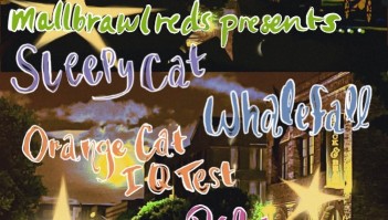 Sleepy Cat • Whalefall • Orange Cat IQ Test • Pilot Seat