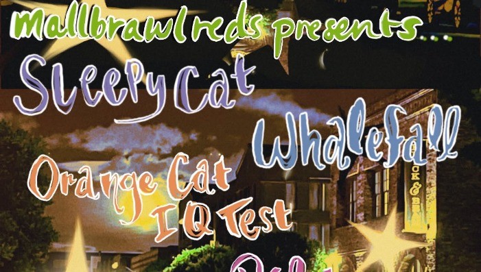 Sleepy Cat • Whalefall • Orange Cat IQ Test • Pilot Seat
