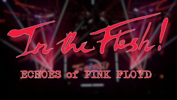 Pink Floyd Laser Show Tribute w/ In The Flesh!