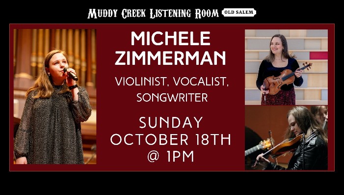 Michele Zimmerman - violinist, vocalist, songwriter