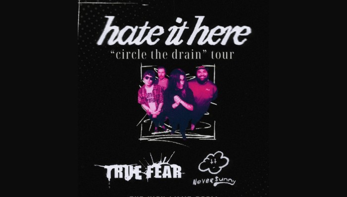 Hate It Here - True Fear - Never Sunny