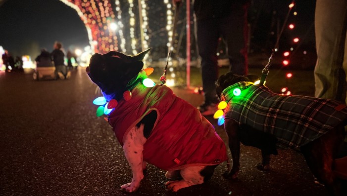 Winter Wonderland December 1st - Lights & Leashes Dog Walk Night