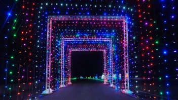Winter Wonderland December 3rd