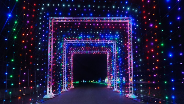 Winter Wonderland December 10th