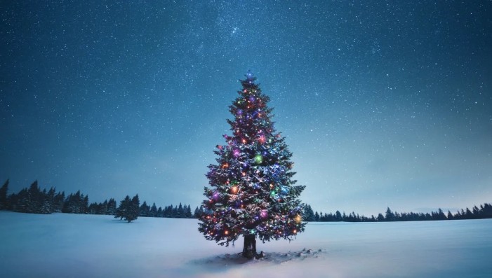 CLOSED FOR THE HOLIDAYS! MERRY CHRISTMAS!!