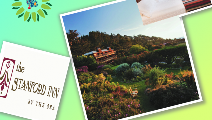 Win A Trip to The Stanford Inn