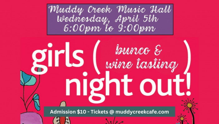 Girls Night Out (bunco & wine tasting)