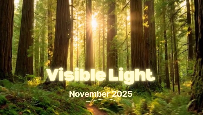 Visible Light
