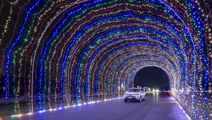 Winter Wonderland